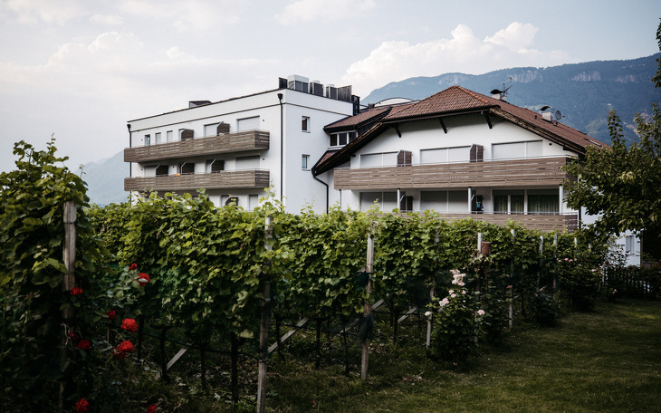 Bild 14