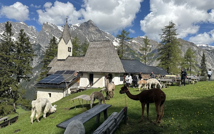 Bild 5