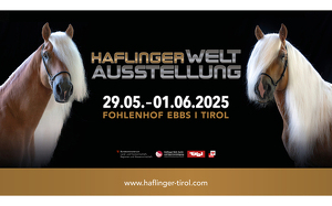 Logo 37873