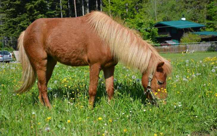Bild 11