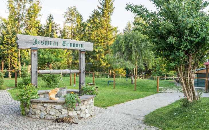 Bild 8