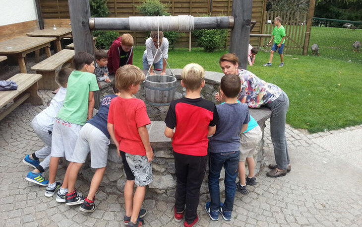 Bild 7