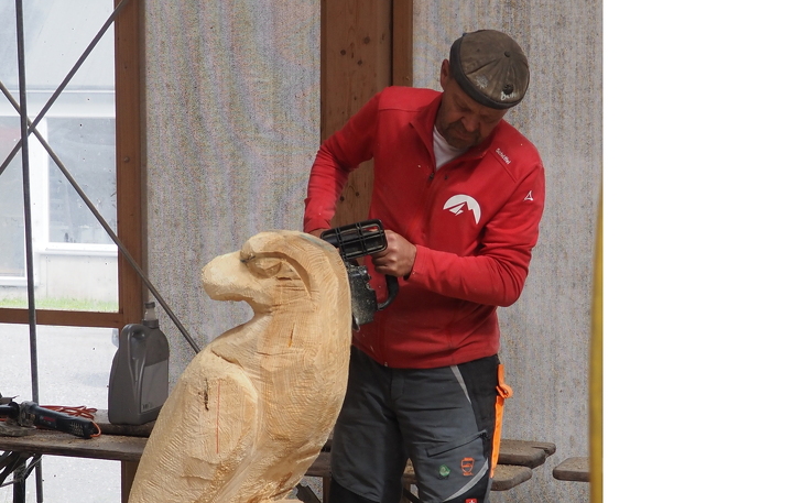 Bild 12